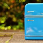 Which Gas Is Used in Refrigerator