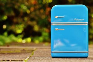 Which Gas Is Used in Refrigerator