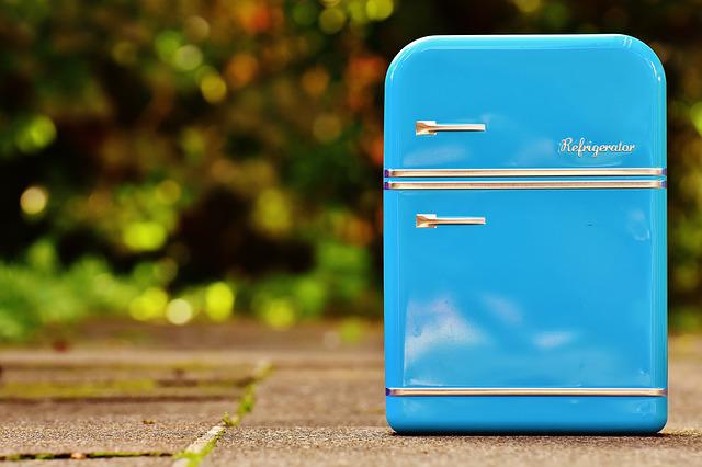 Which Gas Is Used in Refrigerator