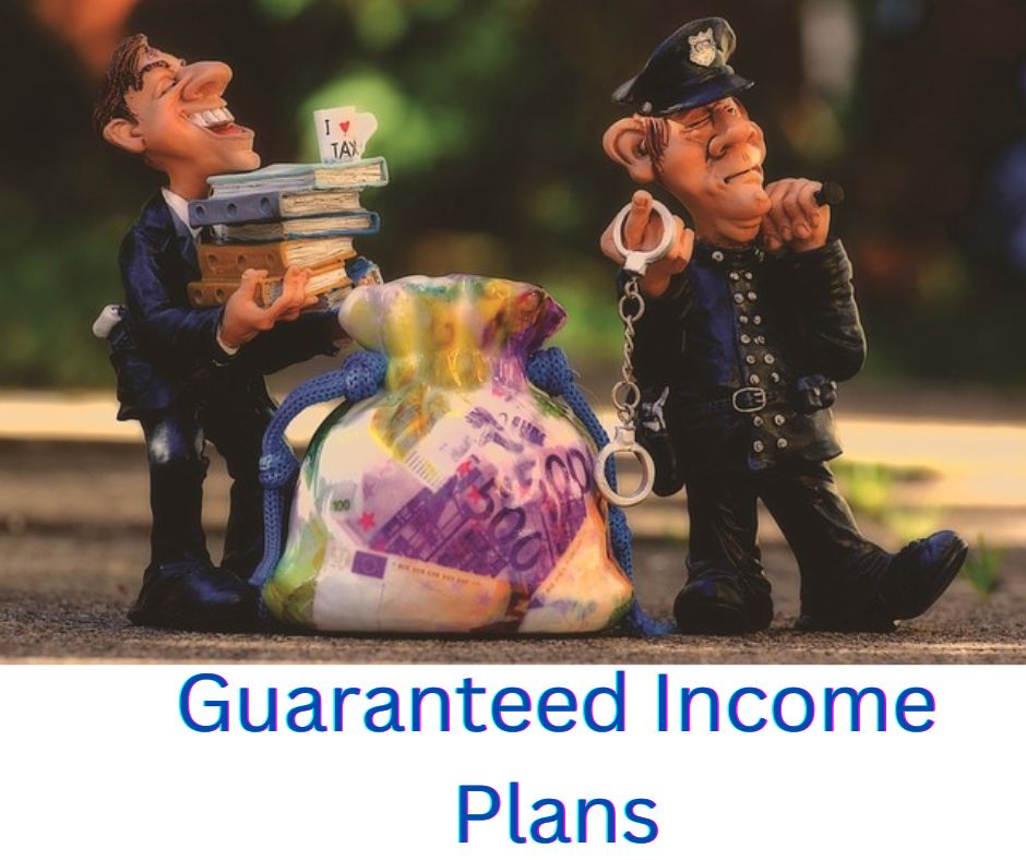 Guaranteed Income Plans