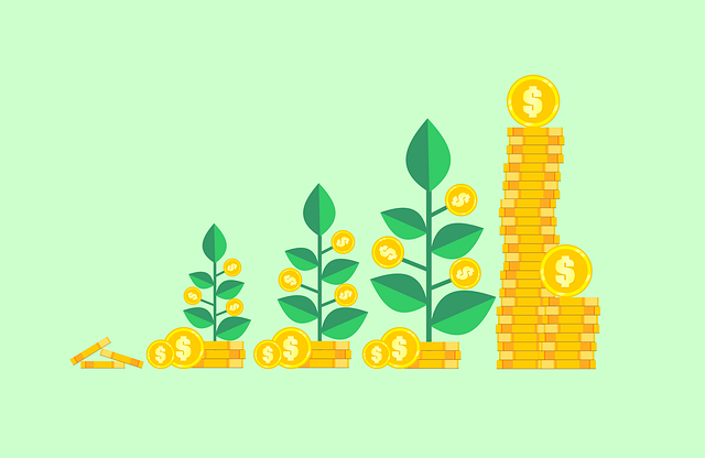 hdfc opportunity fund